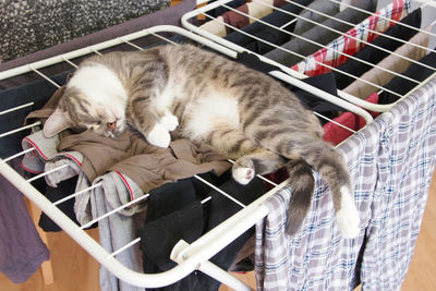 High angle view of cat sleeping on metal with clothes