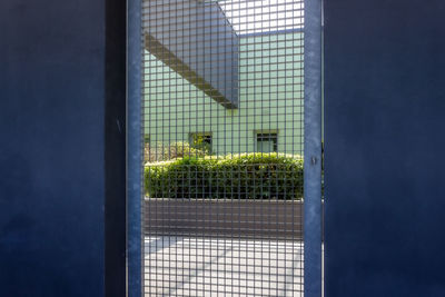 Plants seen through glass window of building