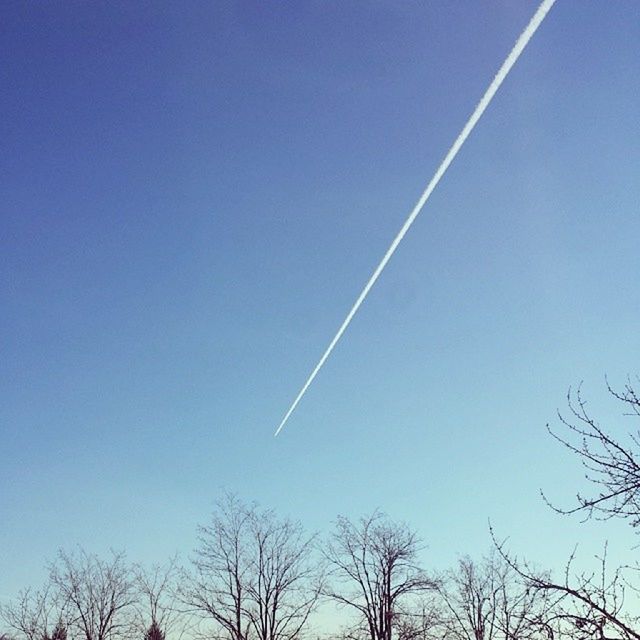 low angle view, clear sky, blue, tree, bare tree, copy space, vapor trail, branch, nature, high section, silhouette, beauty in nature, treetop, tranquility, outdoors, scenics, day, no people, sky, tranquil scene