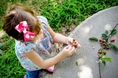 High angle view of girl holding berries on field by retaining wall