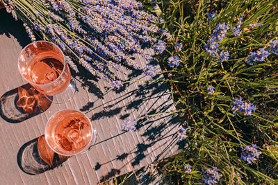 Two glasses of rose wine and bouquet of lavender flowers, summer picnic in countryside