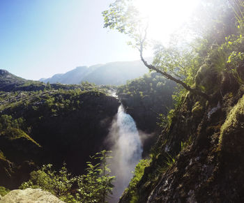 Scenic view of waterfall in forest against clear sky