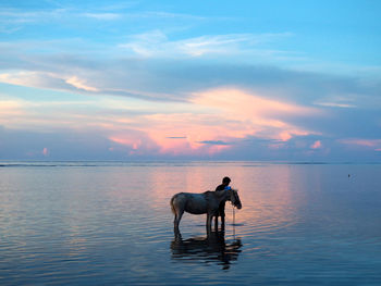 Scenic view of sea at sunset