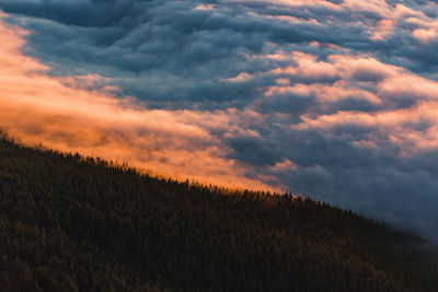 Scenic view of field against sky during sunset