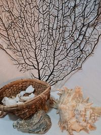 High angle view of bare tree in basket on table