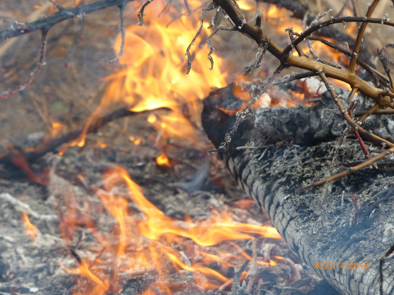 CLOSE-UP OF BONFIRE