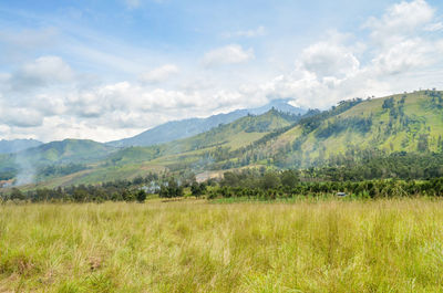 Scenic view of field against sky