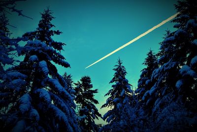 Low angle view of trees against blue sky