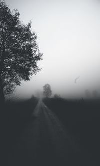 Road passing through foggy weather