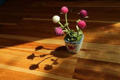 High angle view of potted plant on table