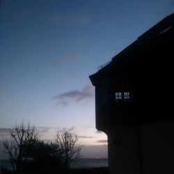 View of tree against sky
