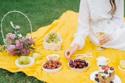 Summer picnic in nature with cake, juice and fruit on a yellow blanket among the green grass. 