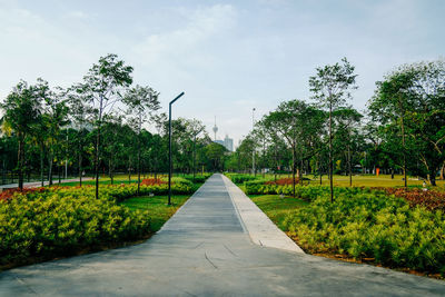 Road amidst plants against sky