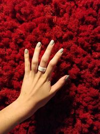 Close-up of hand touching red finger