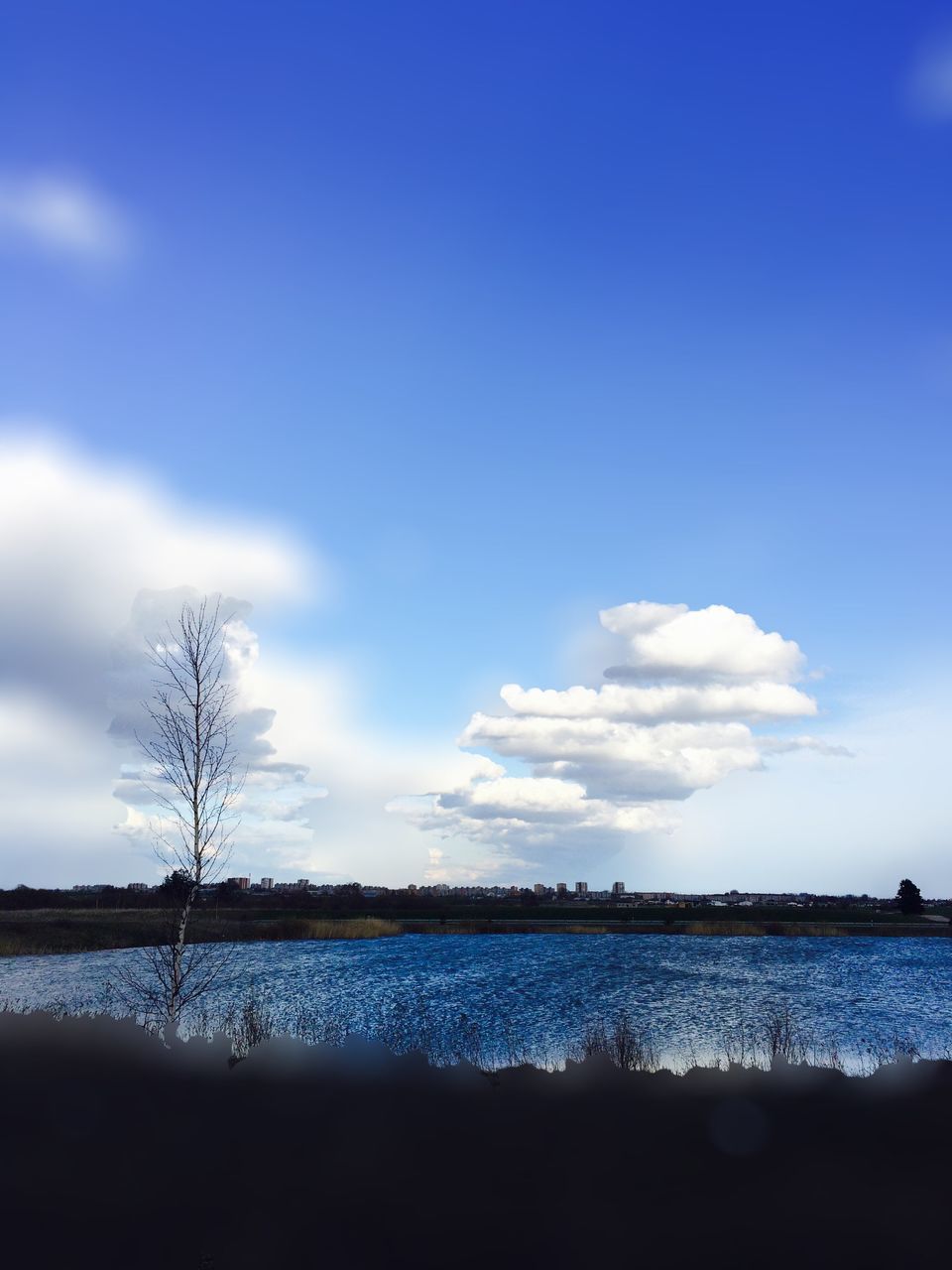 sky, water, blue, tranquil scene, tranquility, scenics, beauty in nature, sea, cloud - sky, cloud, nature, lake, horizon over water, silhouette, calm, idyllic, tree, bare tree, outdoors, landscape