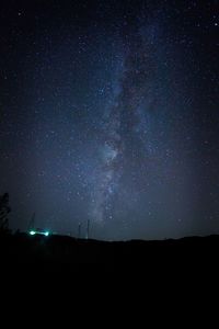 Silhouette trees against star field at night