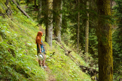 Side view of woman holding hat standing against tree trunks in forest