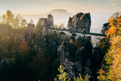 Panoramic view of trees during sunset