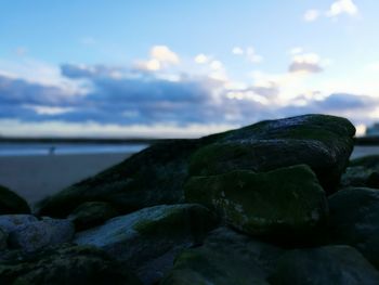 Close-up of sea against sky