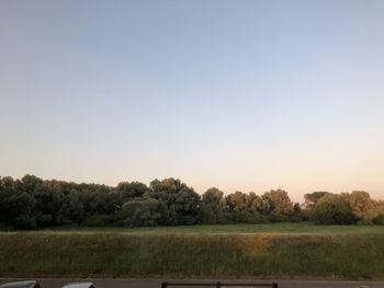 Trees on field against clear sky