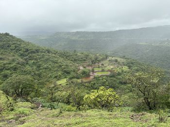 environment