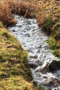 Water flowing in grass