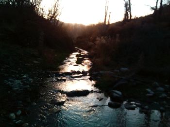 Stream flowing through rocks