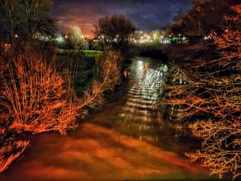 Illuminated footpath by lake in forest at night