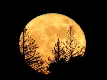 Close-up of moon against black background