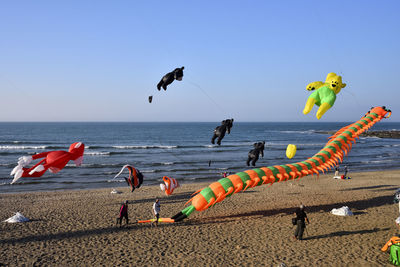 Birds flying over beach against clear sky