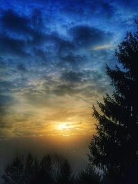 Silhouette trees against dramatic sky during sunset