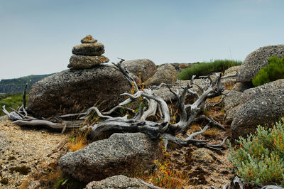 Driftwood on rock against sky