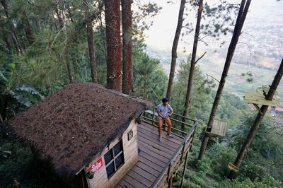 High angle view of man standing by tree trunk in forest