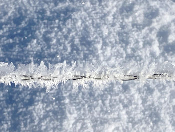 Low angle view of frozen flying against sky