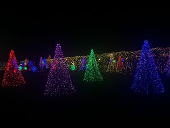 Illuminated christmas tree at night