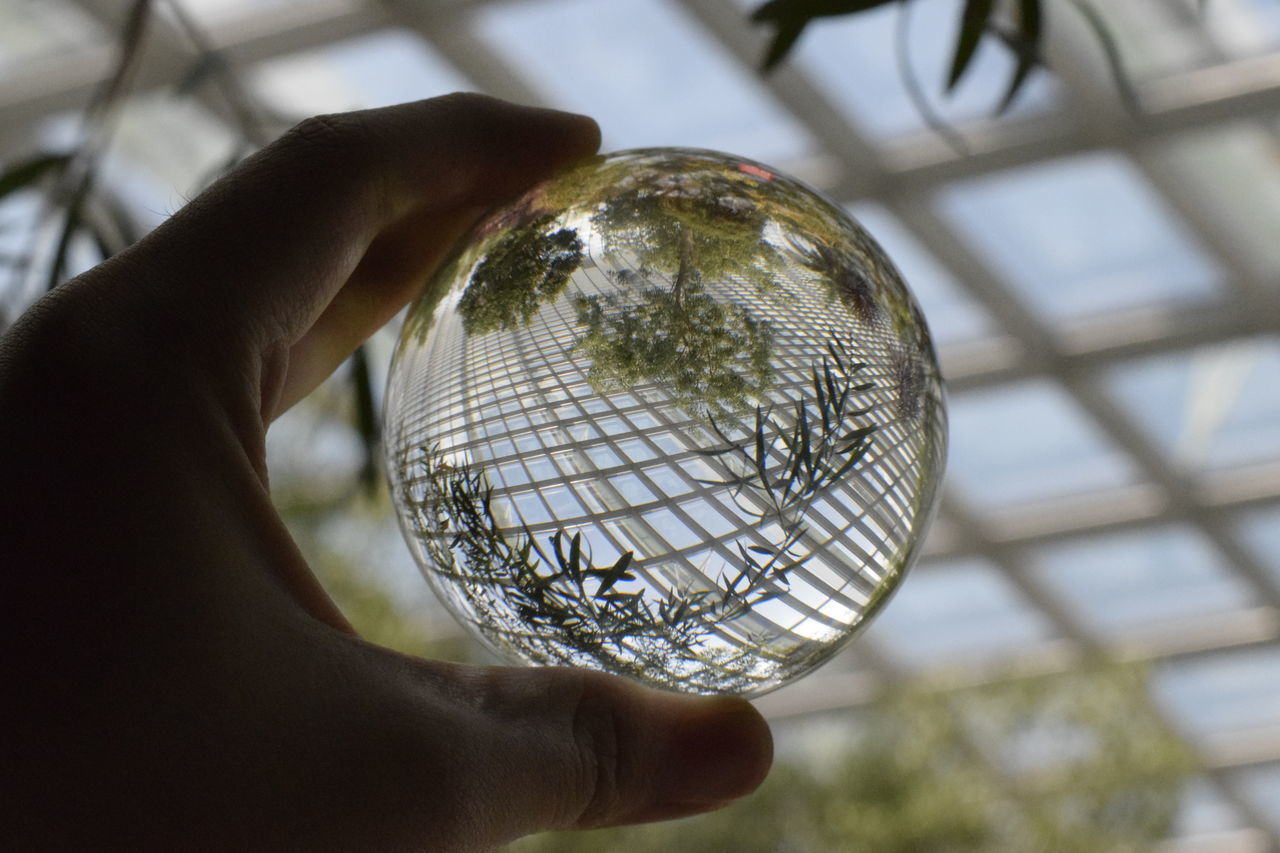 CLOSE-UP OF PERSON HAND HOLDING GLASS