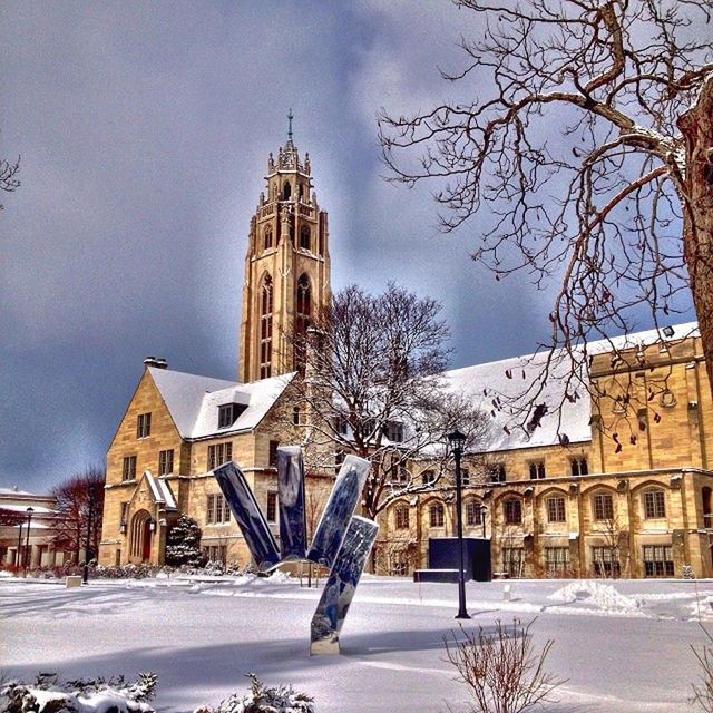 building exterior, architecture, built structure, snow, winter, bare tree, religion, cold temperature, church, place of worship, spirituality, sky, season, tree, tower, cathedral, weather, low angle view