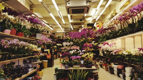 View of market stall