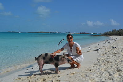 Swimming pigs, exuma, bahamas