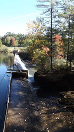 Calm sea with trees in background