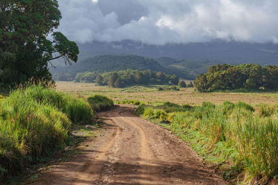 A dirt road against a mountain background at chogoria route, mount kenya national park, kenya