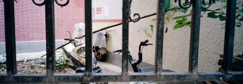 View of birds on wall