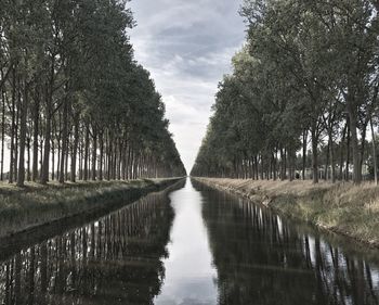 Canal amidst trees against sky