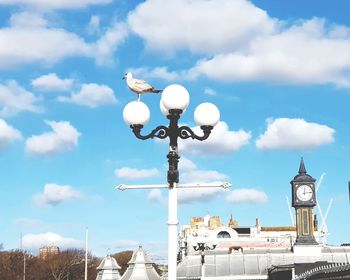 Seagull at the pier