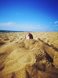 Boy covered in sand at beach against blue sky