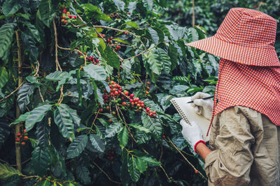 Young woman analyzing cherry tree at yard