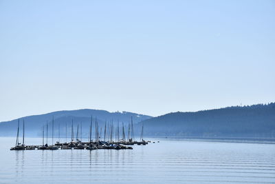 Sailboats in sea against clear sky