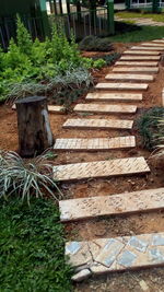 High angle view of staircase in forest