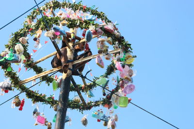 Low angle view of flowering plant against clear sky