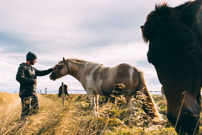 Man stroking horse standing on grassy field against cloudy sky